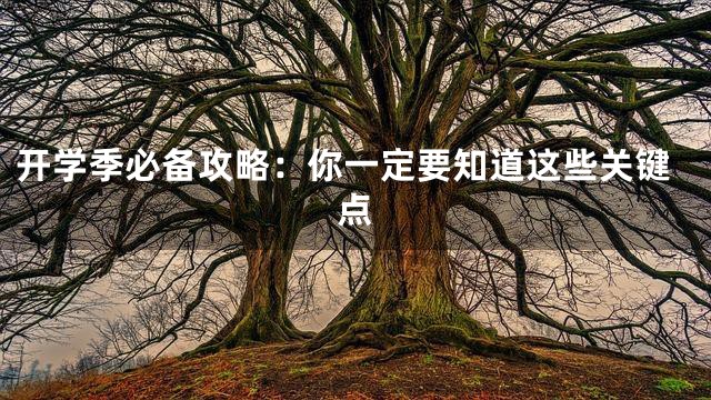 开学季必备攻略：你一定要知道这些关键点