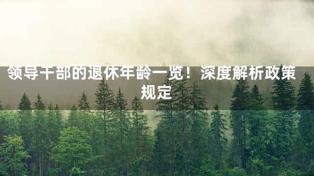领导干部的退休年龄一览！深度解析政策规定