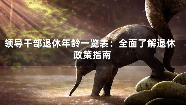 领导干部退休年龄一览表：全面了解退休政策指南