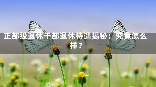正部级退休干部退休待遇揭秘：究竟怎么样？