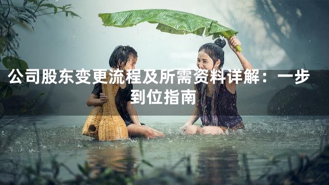 公司股东变更流程及所需资料详解：一步到位指南