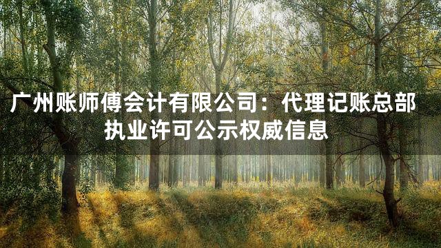 广州账师傅会计有限公司：代理记账总部执业许可公示权威信息