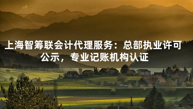 上海智筹联会计代理服务：总部执业许可公示，专业记账机构认证