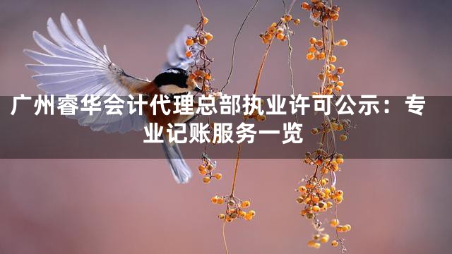 广州睿华会计代理总部执业许可公示：专业记账服务一览