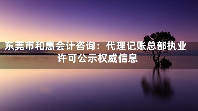 东莞市和惠会计咨询：代理记账总部执业许可公示权威信息
