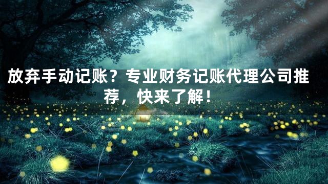 放弃手动记账？专业财务记账代理公司推荐，快来了解！