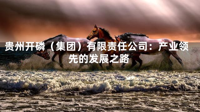 贵州开磷（集团）有限责任公司：产业领先的发展之路