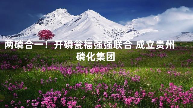 两磷合一！开磷瓮福强强联合 成立贵州磷化集团