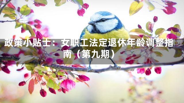 政策小贴士：女职工法定退休年龄调整指南（第九期）