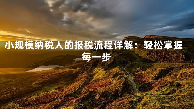小规模纳税人的报税流程详解：轻松掌握每一步