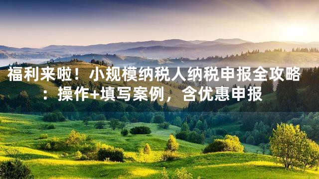 福利来啦！小规模纳税人纳税申报全攻略：操作+填写案例，含优惠申报