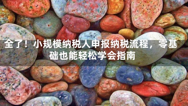 全了！小规模纳税人申报纳税流程，零基础也能轻松学会指南