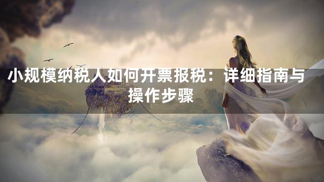 小规模纳税人如何开票报税：详细指南与操作步骤