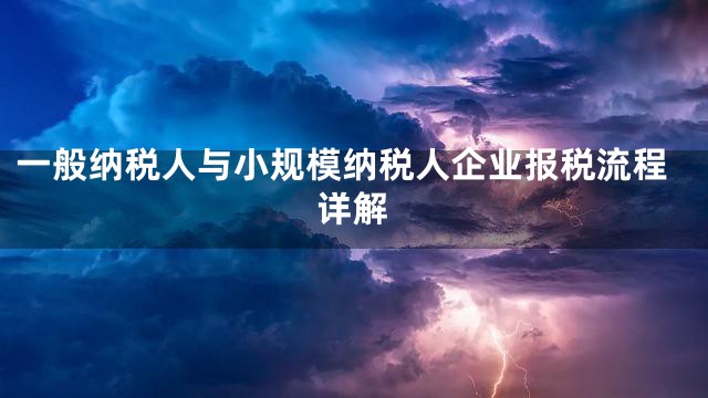 一般纳税人与小规模纳税人企业报税流程详解