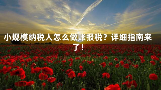 小规模纳税人怎么做账报税？详细指南来了！