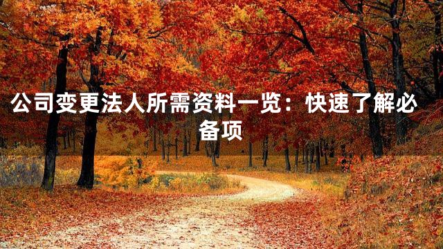 公司变更法人所需资料一览：快速了解必备项