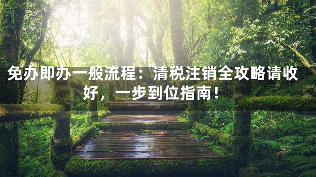 免办即办一般流程：清税注销全攻略请收好，一步到位指南！