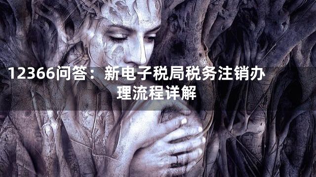 12366问答：新电子税局税务注销办理流程详解