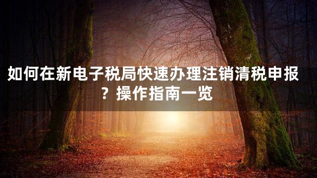 如何在新电子税局快速办理注销清税申报？操作指南一览