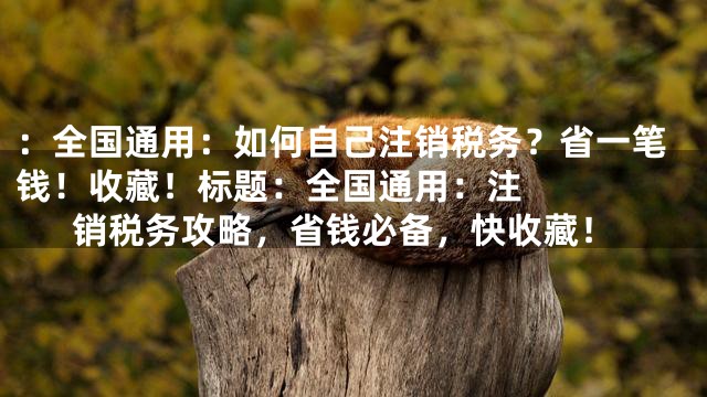 ：全国通用：如何自己注销税务？省一笔钱！收藏！



标题：全国通用：注销税务攻略，省钱必备，快收藏！