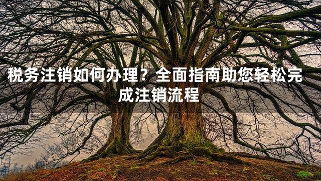 税务注销如何办理？全面指南助您轻松完成注销流程