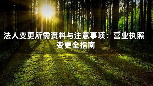 法人变更所需资料与注意事项：营业执照变更全指南