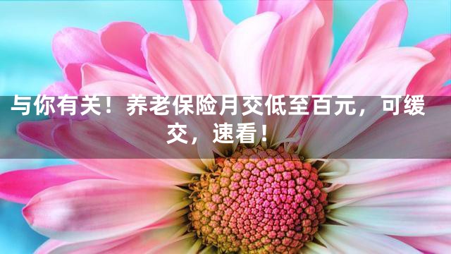 与你有关！养老保险月交低至百元，可缓交，速看！