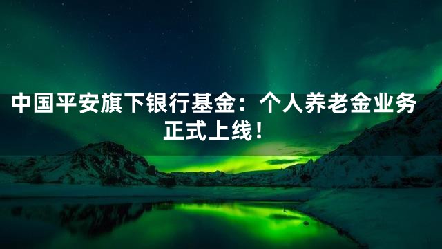 中国平安旗下银行基金：个人养老金业务正式上线！