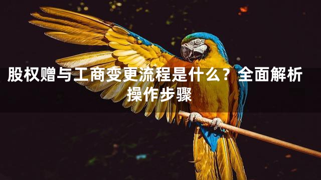 股权赠与工商变更流程是什么？全面解析操作步骤