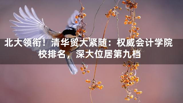 北大领衔！清华贸大紧随：权威会计学院校排名，深大位居第九档