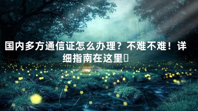 国内多方通信证怎么办理？不难不难！详细指南在这里️