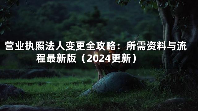营业执照法人变更全攻略：所需资料与流程最新版（2024更新）