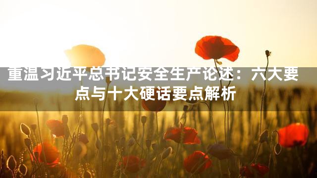 重温习近平总书记安全生产论述：六大要点与十大硬话要点解析