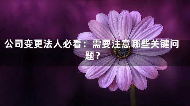 公司变更法人必看：需要注意哪些关键问题？