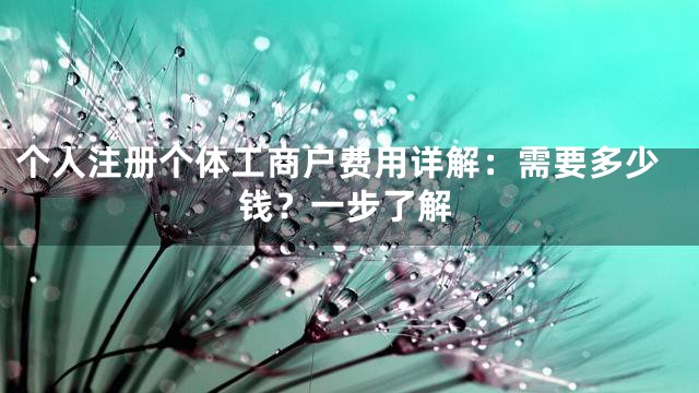 个人注册个体工商户费用详解：需要多少钱？一步了解