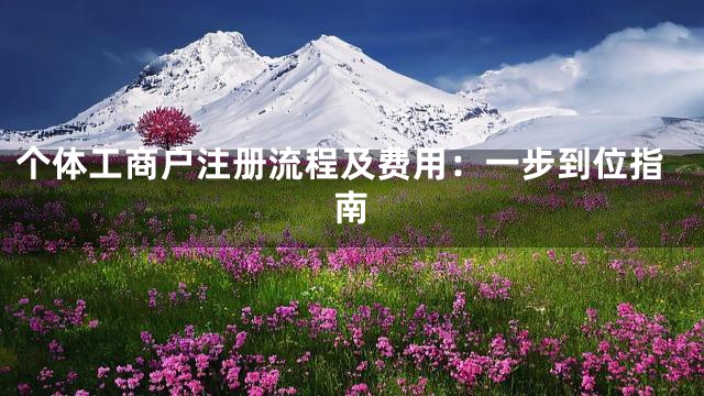 个体工商户注册流程及费用：一步到位指南