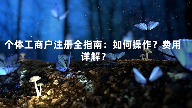 个体工商户注册全指南：如何操作？费用详解？