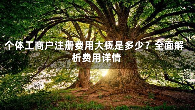 个体工商户注册费用大概是多少？全面解析费用详情