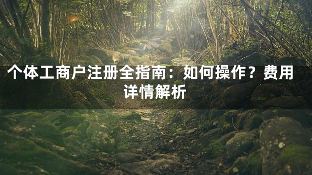 个体工商户注册全指南：如何操作？费用详情解析