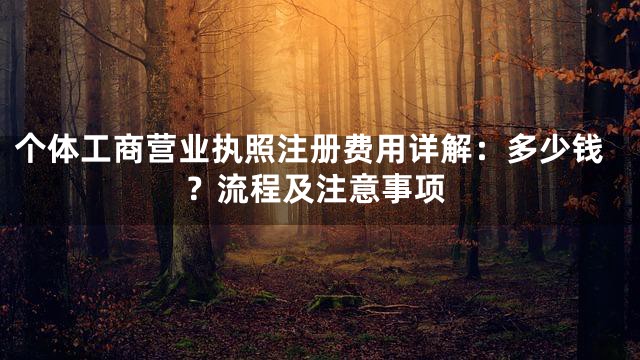 个体工商营业执照注册费用详解：多少钱？流程及注意事项