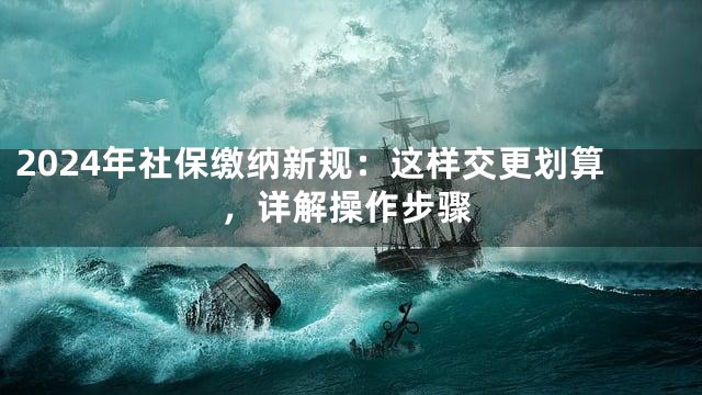 2024年社保缴纳新规：这样交更划算，详解操作步骤
