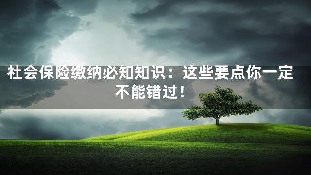 社会保险缴纳必知知识：这些要点你一定不能错过！