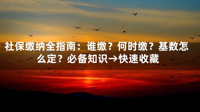 社保缴纳全指南：谁缴？何时缴？基数怎么定？必备知识→快速收藏