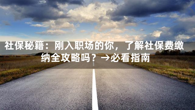 社保秘籍：刚入职场的你，了解社保费缴纳全攻略吗？→必看指南