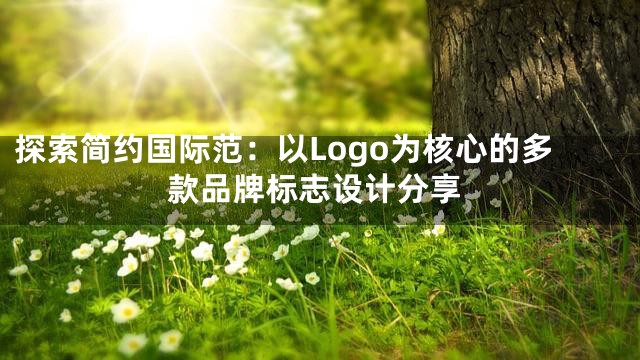 探索简约国际范：以Logo为核心的多款品牌标志设计分享