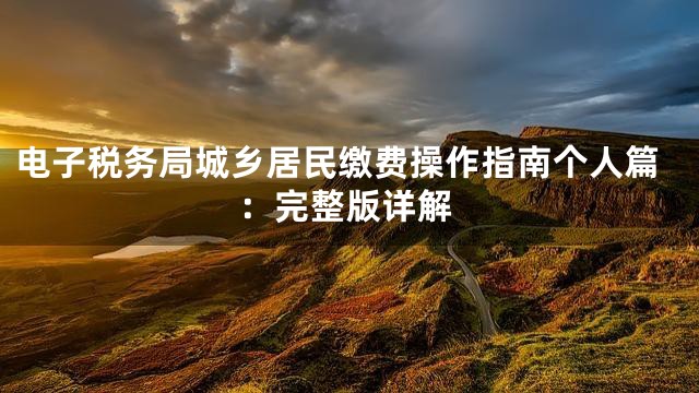 电子税务局城乡居民缴费操作指南个人篇：完整版详解