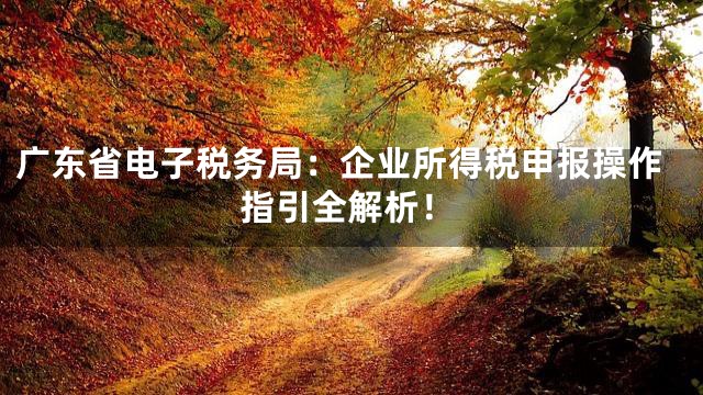 广东省电子税务局：企业所得税申报操作指引全解析！