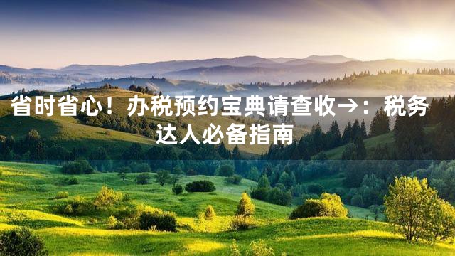 省时省心！办税预约宝典请查收→：税务达人必备指南