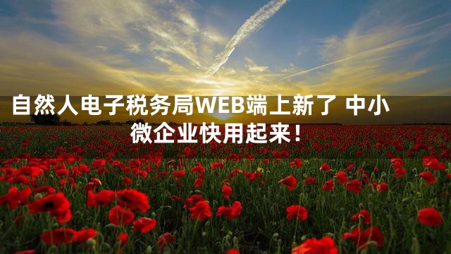 自然人电子税务局WEB端上新了 中小微企业快用起来！