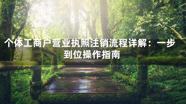 个体工商户营业执照注销流程详解：一步到位操作指南